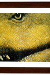 Drumheller