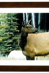 Alberta