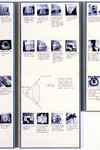 ProgÃ©niture (dÃ©tail)